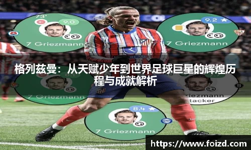 BB贝博登录入口