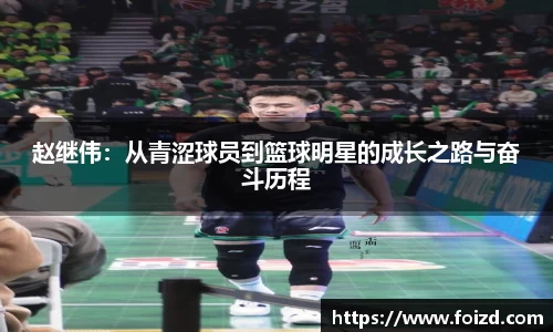 BB贝博登录入口