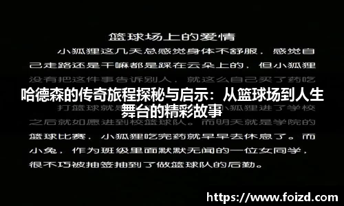 BB贝博登录入口