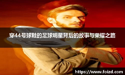 BB贝博登录入口