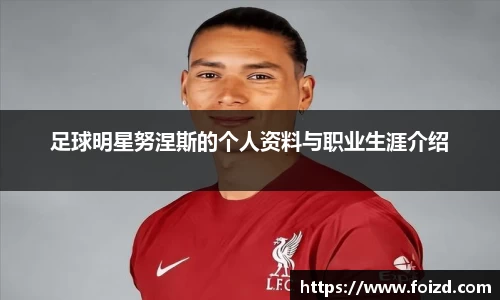 足球明星努涅斯的个人资料与职业生涯介绍